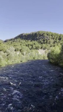 Nehir ağaçları gökyüzü. Kanyonun yemyeşil yeşilliği, görüldüğü gibi. Yüksek kalite fotoğraf