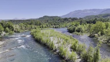 Nehir ağaçları gökyüzü. Kanyonun yemyeşil yeşilliği, görüldüğü gibi. Yüksek kalite fotoğraf