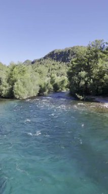 Nehir ağaçları gökyüzü. Kanyonun yemyeşil yeşilliği, görüldüğü gibi. Yüksek kalite fotoğraf