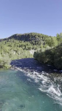 Nehir ağaçları gökyüzü. Kanyonun yemyeşil yeşilliği, görüldüğü gibi. Yüksek kalite fotoğraf
