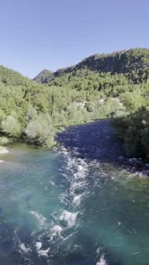 Nehir ağaçları gökyüzü. Kanyonun yemyeşil yeşilliği, görüldüğü gibi. Yüksek kalite fotoğraf