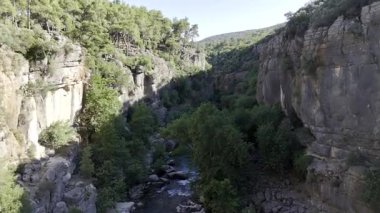 Kanyonun yemyeşil yeşilliği İHA 'dan görüldüğü gibi. Yüksek kalite fotoğraf