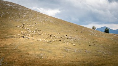 Bosna 'daki çardakta Sırplar tarafından oluşturulan savaş yanlısı tabela