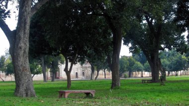 Wooden bench beneath tree in peaceful garden of Shalimar bagh clipart