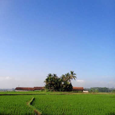 Aydınlatılmış Gemiler Gece Limanı Yeşil Arazili Sakin Kırsal Arazi ve Açık Mavi Gökyüzü