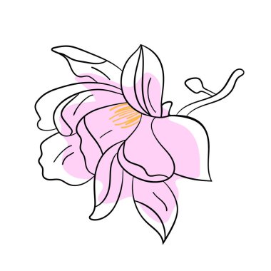 Contour çiçeği. Vektör minimalist çiçeği izole etti. Vektör illüstrasyonu