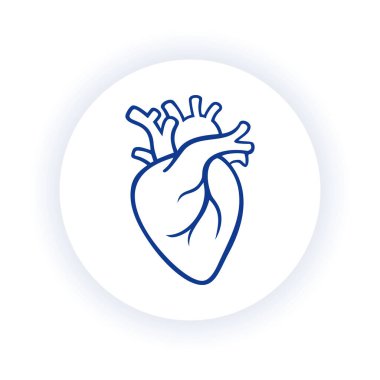 İnsan kalbinin detaylı bir temsili. Tıp ve eğitim projeleri, sunumlar ve bilgi grafikleri için mükemmel. Yüksek kalite ve özelleştirilmesi kolay.