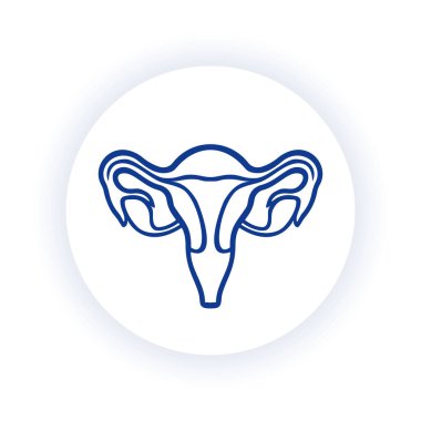 Kadın üreme sisteminin detaylı bir vektör çizimi. Tıp ve eğitim projeleri, sunumlar ve sağlık malzemeleri için mükemmel.