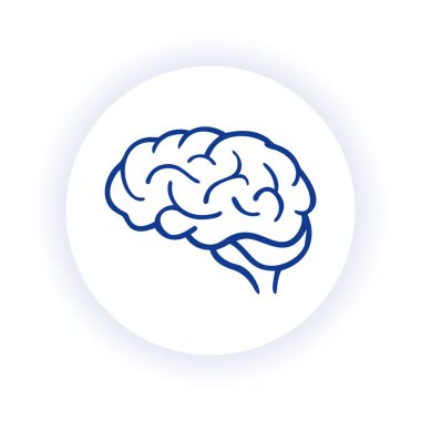 Bu vektör grafiği insan beynini betimliyor, anatomik yapısını eğitici amaçlar için gösteriyor. Beyin fonksiyonlarını ve sağlığını temsil eden açık bir tıbbi ikon görevi görüyor..