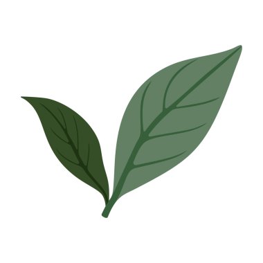 İki stilize edilmiş yeşil yaprak, doğanın güzelliğine minimalist bir yaklaşım sergiliyor. Bir yaprak daha koyu, açık yaprağa zıtlık sağlıyor..