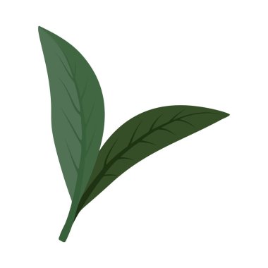 İki yeşil yaprak minimalist bir vektör tasarımında sergilenerek, uzatılmış şekillerini ve karmaşık damar yapılarını vurguluyor. Yapraklar canlı ve canlı bir görünüm yayıyor, bu da canlılık ve büyümeyi gösteriyor..