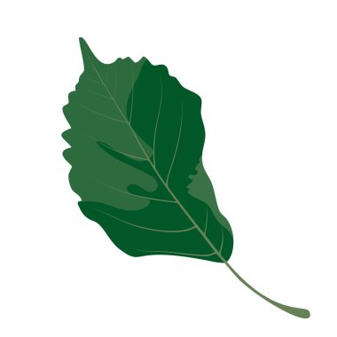 Canlı yeşil bir yaprak karmaşık detaylarla tasvir edilir, doğal damarlarını ve pürüzsüz dokusunu vurgular. Tasarım doğada bulunan organik şekilleri ve renkleri vurguluyor, tazeliği ve açık havanın güzelliğini temsil ediyor. Bu yaprak...