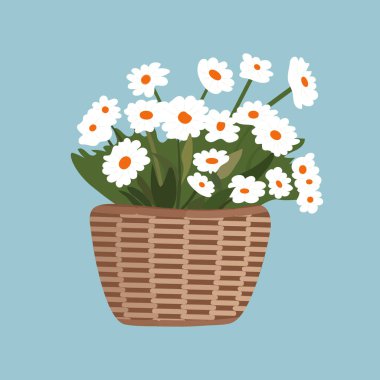 Turuncu merkezli beyaz papatyalardan oluşan canlı bir düzenleme dokuma sepetini doldurur ve her yere neşeli bir dokunuş sağlar. Açık mavi arka plan, çiçeklerin tazeliğini arttırır.