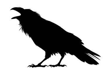 Bir Kuzgun Tünemiş ve Işık Arkaplanına Karşı Kargalar 'ın Kara Silueti. Vektör illüstrasyonu