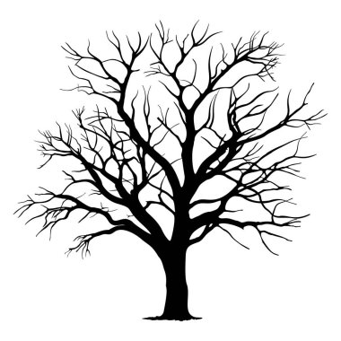 Silhouette of a Lone Tree With Bare Branches Against a White Background. Vector illustration clipart