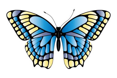 Detaylı Vektör İllüstrasyon Tarzı ile Sarı Aksanlı Canlı Mavi Kelebek. Vektör illüstrasyonu