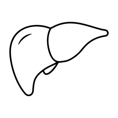 Eğitimsel materyaller ve sağlıkla ilgili içerik için ideal beyaz bir zemin üzerinde sunulan net ve minimalist bir karaciğer vektör ikonu. Tasarım, çizgileri ve şekilleri tanımlar ve uygun kılar.