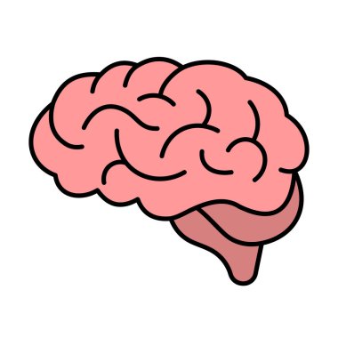 Pembe renkli bir insan beyninin, temiz beyaz bir arka plana karşı vektör çizimi. Tasarım, beynin karmaşık hatlarını ve kıvrımlarını sergiliyor. Anatomik yapısını vurguluyor..