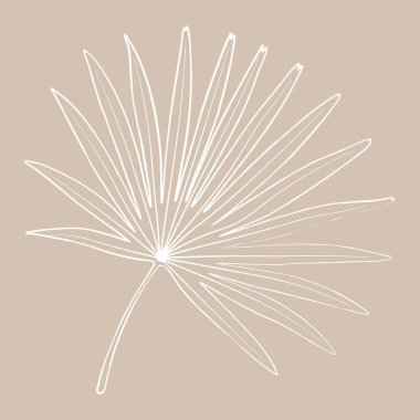 Hassas bir çizim, bir Leydi palmiye yaprağının zarif şeklini yakalar. Yaprağın damarlarının ve şekillerinin karmaşık ayrıntıları doğal zarafetini vurgulayarak tarafsız bir arkaplanda göze çarpıyor.