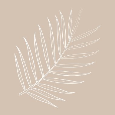 Bir areca palmiye yaprağını resmetmek, zarif yaprakları ve yaprağın karmaşık detaylarını yansıtır. Basit, minimalist tasarım avuçların doğal güzelliğine karşı durmasını sağlar.