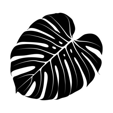 Bir Monstera yaprağının detaylı silueti, kompozisyonu kalın hatları ve eşsiz yaprak yapısı ile doldurur. Bu çarpıcı görsel modern bir estetik sunarken doğanın güzelliğini vurgular.