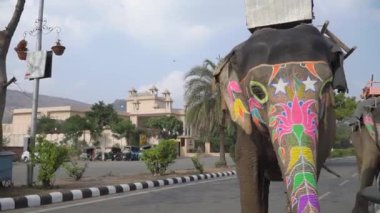 Yakın plan filler renkli desenlerle bezenmiş kalabalık bir Jaipur caddesinde yürürken Hindistan 'da sırtında bir adam taşıyorlar.