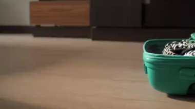 Kedi taşıyıcısı kabin boyutundaki bavulun yanına yerleştirilir, turuncu tekir kedi kameranın önünden geçer. 