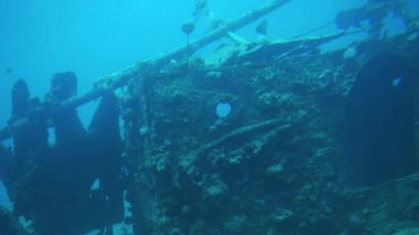 Batık eserler, Mısır 'da, Kızıl Deniz 7' de bir turist denizaltısının lombozundan çekildi. 