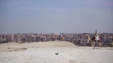 Giza Piramidi kompleksi Giza, Mısır 'a yakın arka planda Giza şehri ile kameranın önünden geçen develer görülüyor.