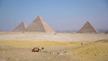 Giza piramit kompleksinin ön planda bir deve ve arka planda Giza şehri, Mısır