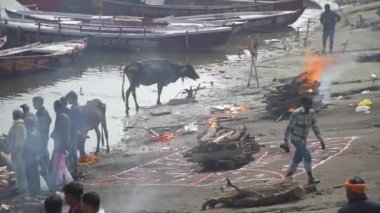 Manikarnika Ghat 'in merdivenlerinde yakılacak odun yığını hazırlandı. Varanasi, Hindistan