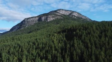 İHA 'lar Norveç Ormanı üzerinde uçurum ve mavi gökyüzü arka planda güneşli bir günde