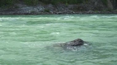 Norveç 'in güçlü nehrinde kayalar dingin dağ manzaralarında akıyor.