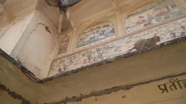 Galtaji Tapınağı 'nın Antik Güzelliğini ve Oyuncak Maymunlarını Keşfedin