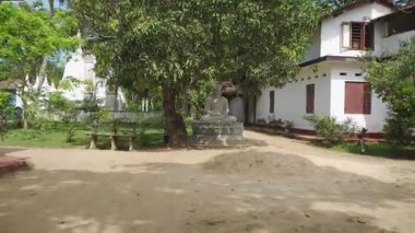 Sri Lanka 'nın Kutsal Arazilerindeki Görkemli Buda Heykeli' ni keşfediyorum.