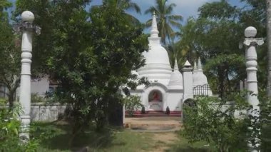 Sri Lanka 'daki dingin Budist tapınağını keşfedin. Etrafınız yemyeşil.