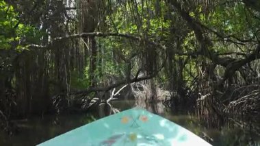 Sri Lanka 'nın sakin mangrovlarını bir tekne safarisinde keşfedin.