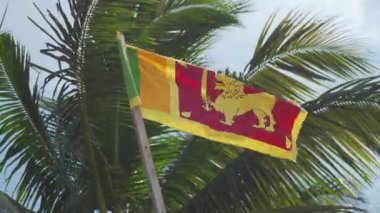 Güneşli bir günde yeşil palmiye ağaçlarında dalgalanan Sri Lanka bayrağı