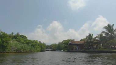 Sri Lanka 'nın yemyeşil tropikal nehirlerinde Bentota tekne safarisini keşfedin.