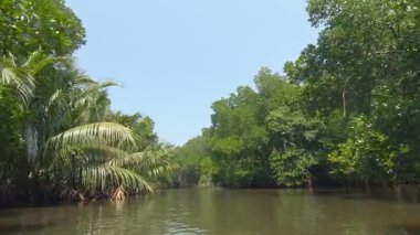 Unutulmaz bir tekne safarisinde Bentota nehirlerinin güzelliğini keşfedin.