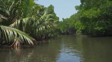 Bentota 'nın Sri Lanka' daki nehir safarisinin güzelliğini keşfedin.