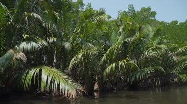 Sri Lanka nehri boyunca uzanan büyüleyici Bentota tekne safarisini keşfedin.