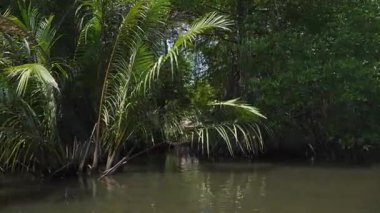 Bentota 'nın güzelliğini heyecan verici bir nehir safarisi macerasıyla keşfedin.