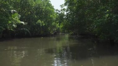 Bentota 'nın güzelliğini mangrovlardan geçen büyüleyici bir tekne safarisiyle keşfedin.