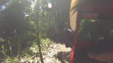 Yaz boyunca Sri Lanka 'da bir Tuk Tuk' ta manzaralı orman rotalarını keşfetmek