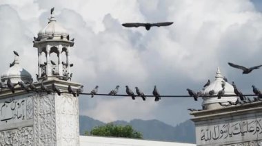 Güvercinler bulutlu gökyüzüne ve Hazretbal Tapınağı 'ndaki dağlara karşı süslü kapıdalar.