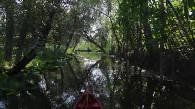 Keşmir 'deki Srinagar yüzen evlerinin ve kanallarının huzur veren güzelliğini keşfedin.