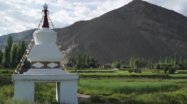 Ladakh 'ta bir dağa karşı Budist duaları yapan beyaz bir ahmak.