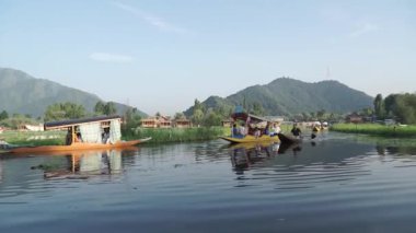 Srinagar, Hindistan mı? 10 Haziran 2018: Dal Gölü 'nde nilüfer hasadı olan bir teknede geçen yerel bir adam