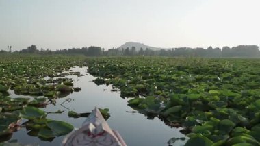 Teknenin pruvası nilüfer tarlasında yüzerken Dal Gölü 'nün arka planında dağlar vardı.